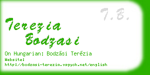 terezia bodzasi business card